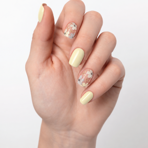 Daisy Dream