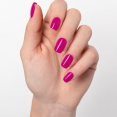 Fuchsia Flair