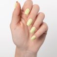Soft Citrus