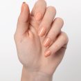 Apricot Cream